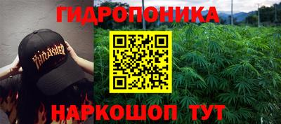 амф Заволжье