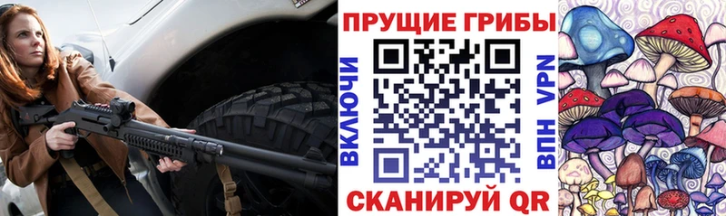Псилоцибиновые грибы прущие грибы  Таганрог 