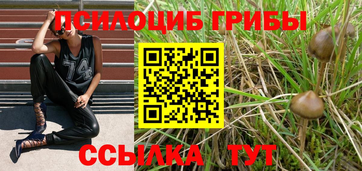 Псилоцибиновые грибы прущие грибы Таганрог