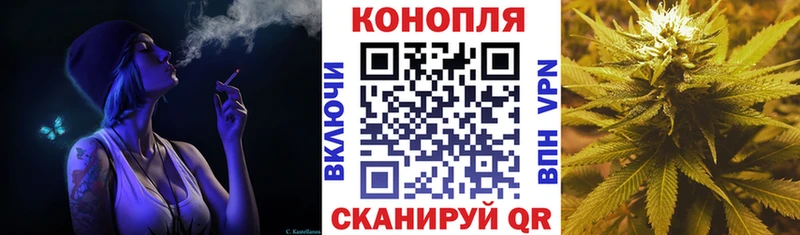 Бошки Шишки гибрид  где купить наркоту  Таганрог 